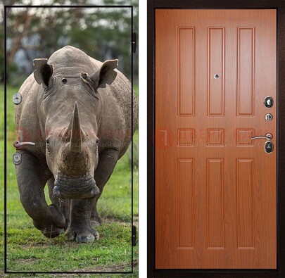 Металлическая дверь с фотопечатью носорога ДФ-31 в Курске