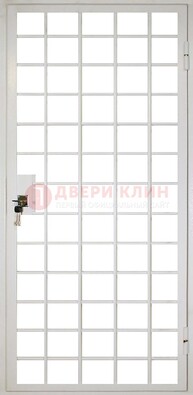 Белая металлическая решетчатая дверь ДР-2 в Одинцово