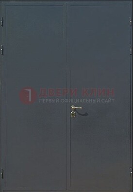 Двухстворчатая техническая дверь ДТ-5 в Одинцово